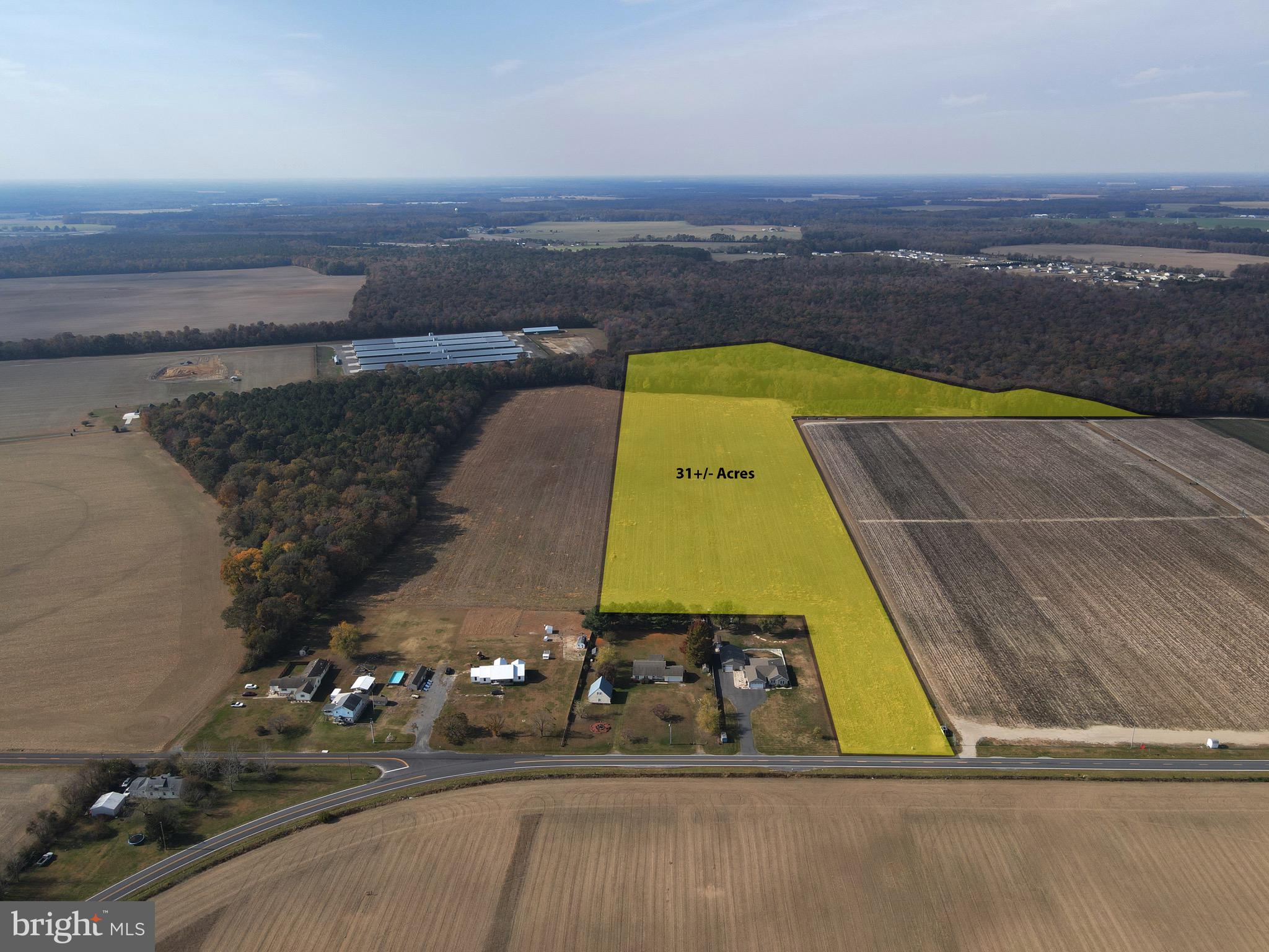 31-acres 31-acres Clendaniel Pond Lincoln De  