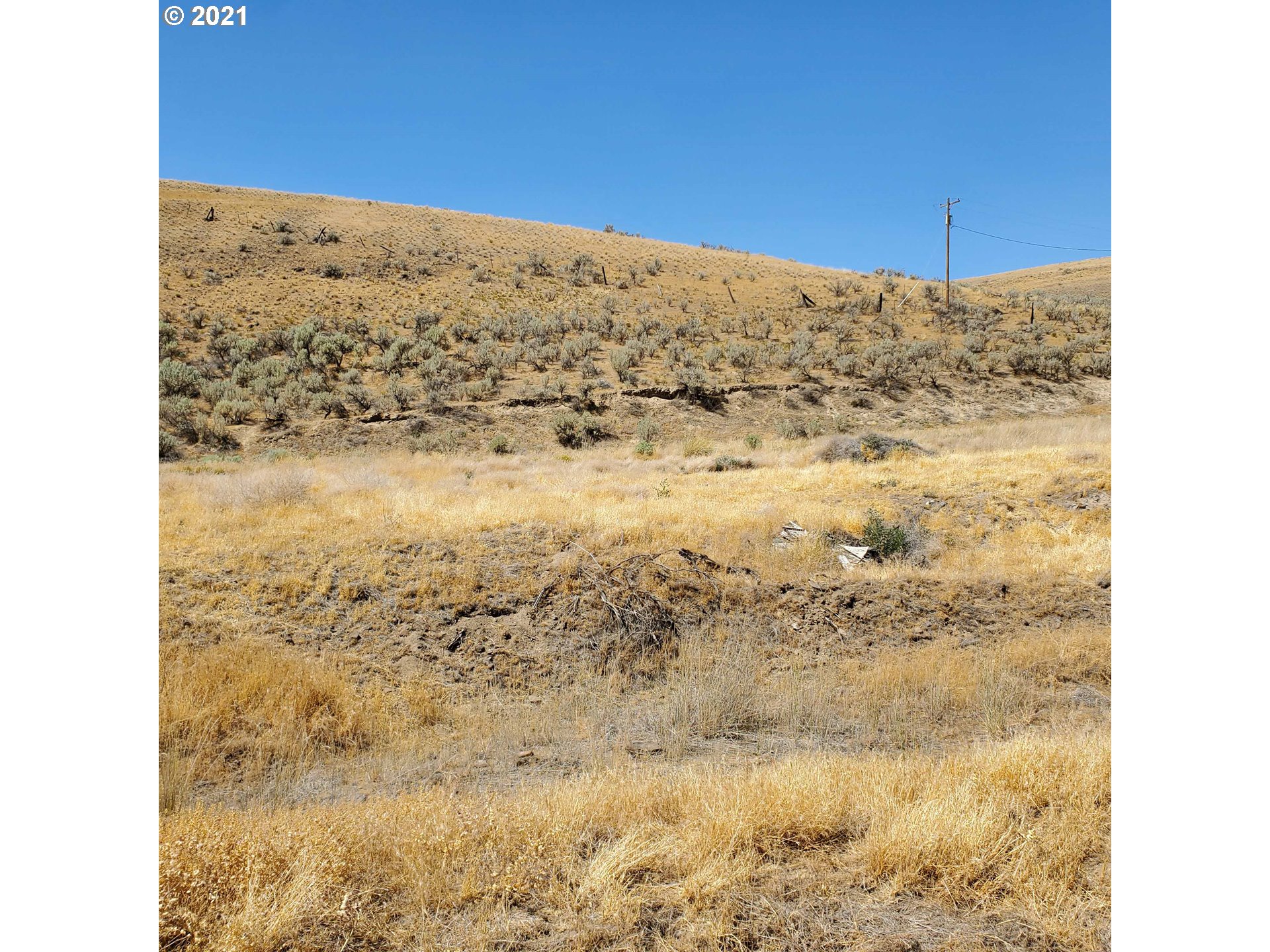 Piper Canyon Road Heppner, OR 97836 - Photo 4 of 9 a view of sky view