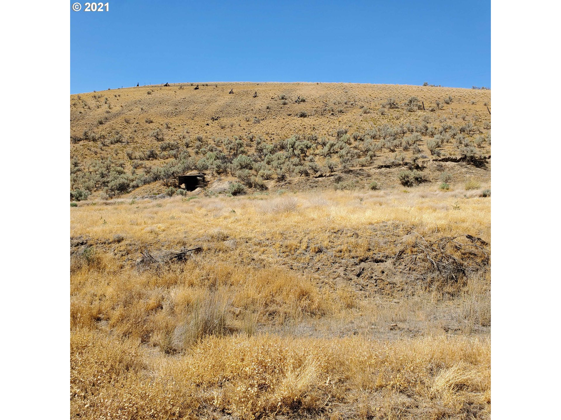 Piper Canyon Road Heppner, OR 97836 - Photo 5 of 9