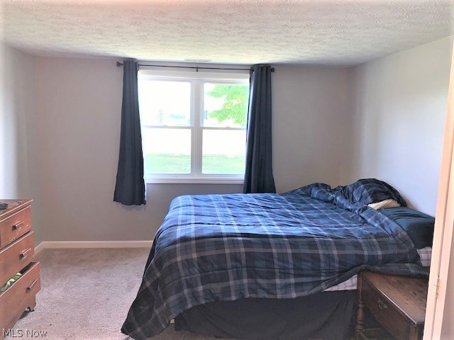 42688 Webster Road Lagrange, OH 44050 - Photo 12 of 28 Gallery Image 12