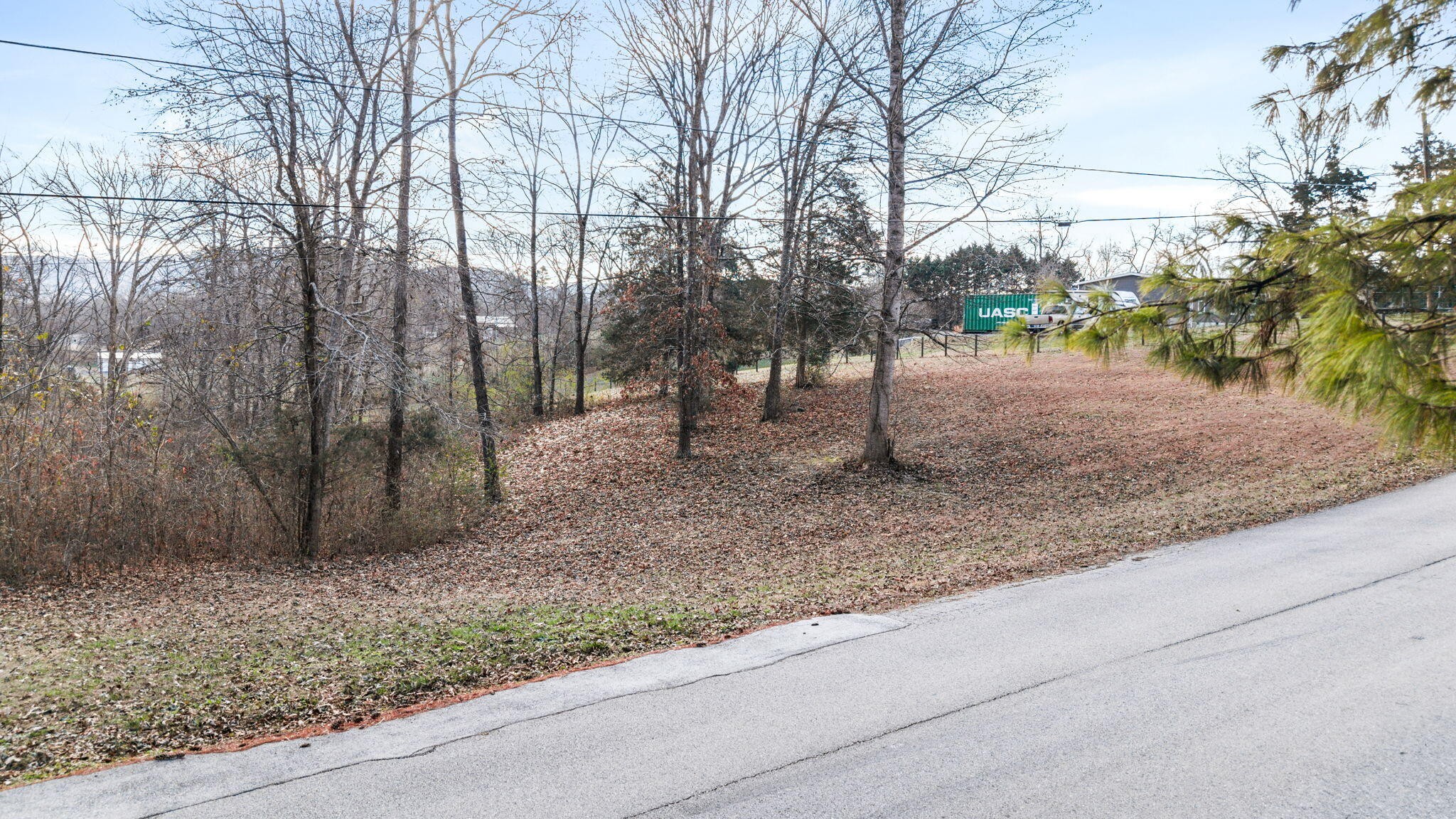 12108 Bettis Road Georgetown, TN 37336 - Photo 11 of 22 a backyard of a house with lots of green space