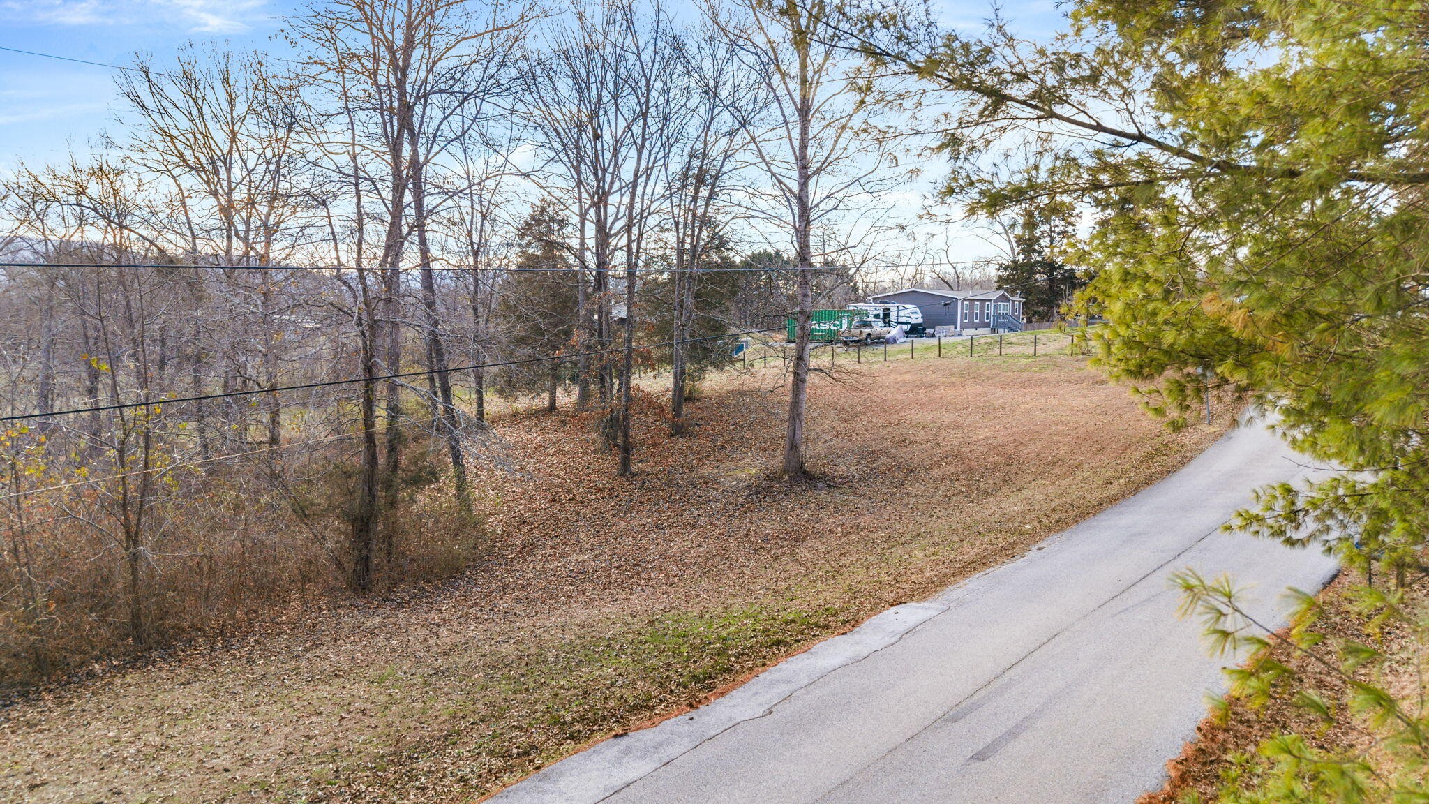12108 Bettis Road Georgetown, TN 37336 - Photo 12 of 22 a view of a forest with trees