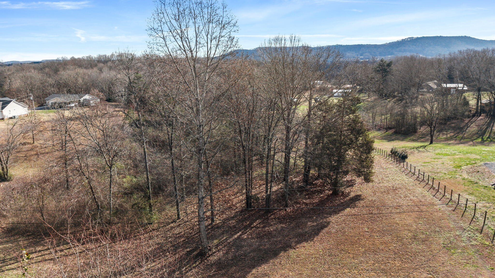 12108 Bettis Road Georgetown, TN 37336 - Photo 20 of 22 a view of a yard with wooden fence