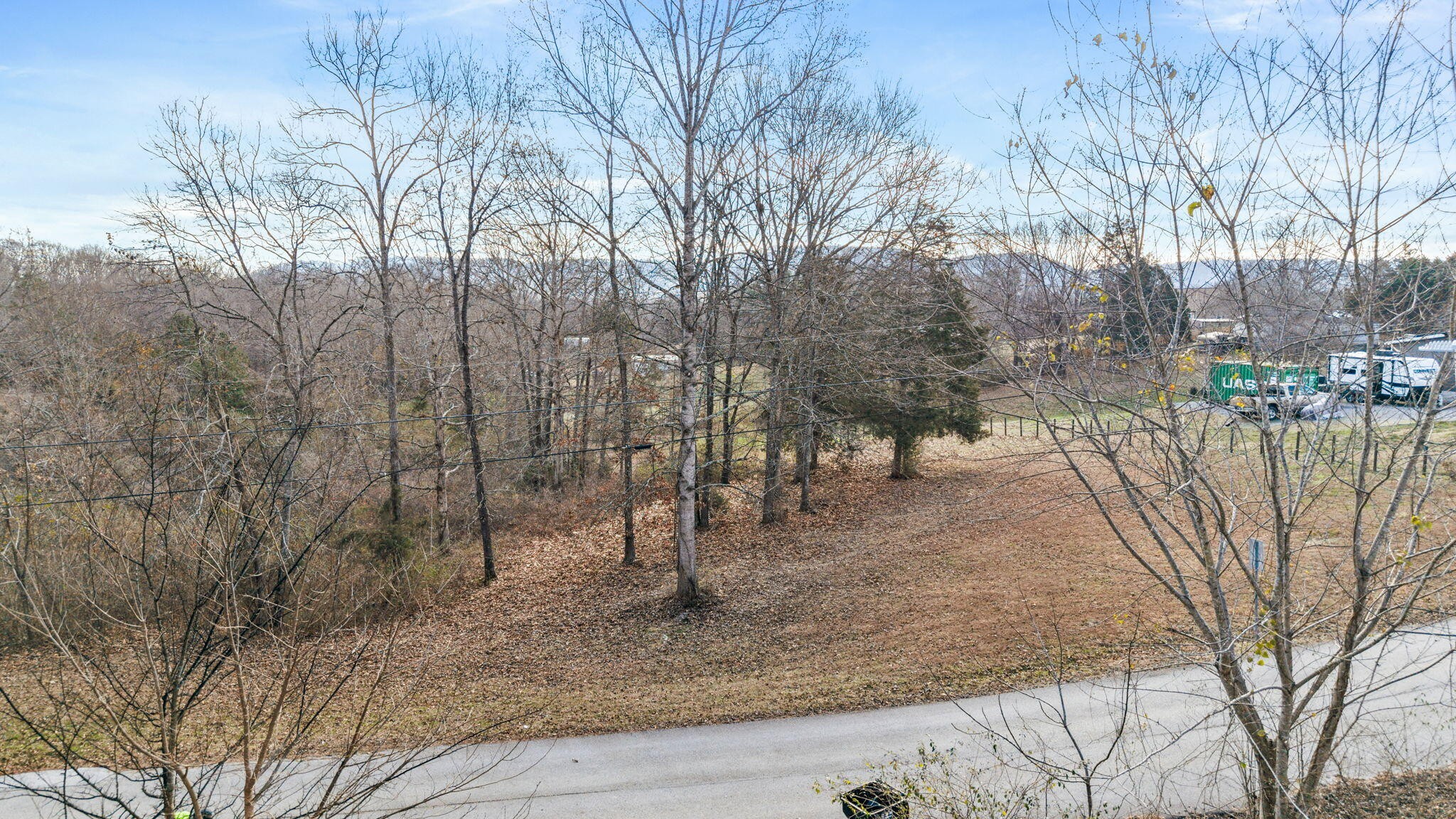 12108 Bettis Road Georgetown, TN 37336 - Photo 10 of 22 a view of a forest filled with trees