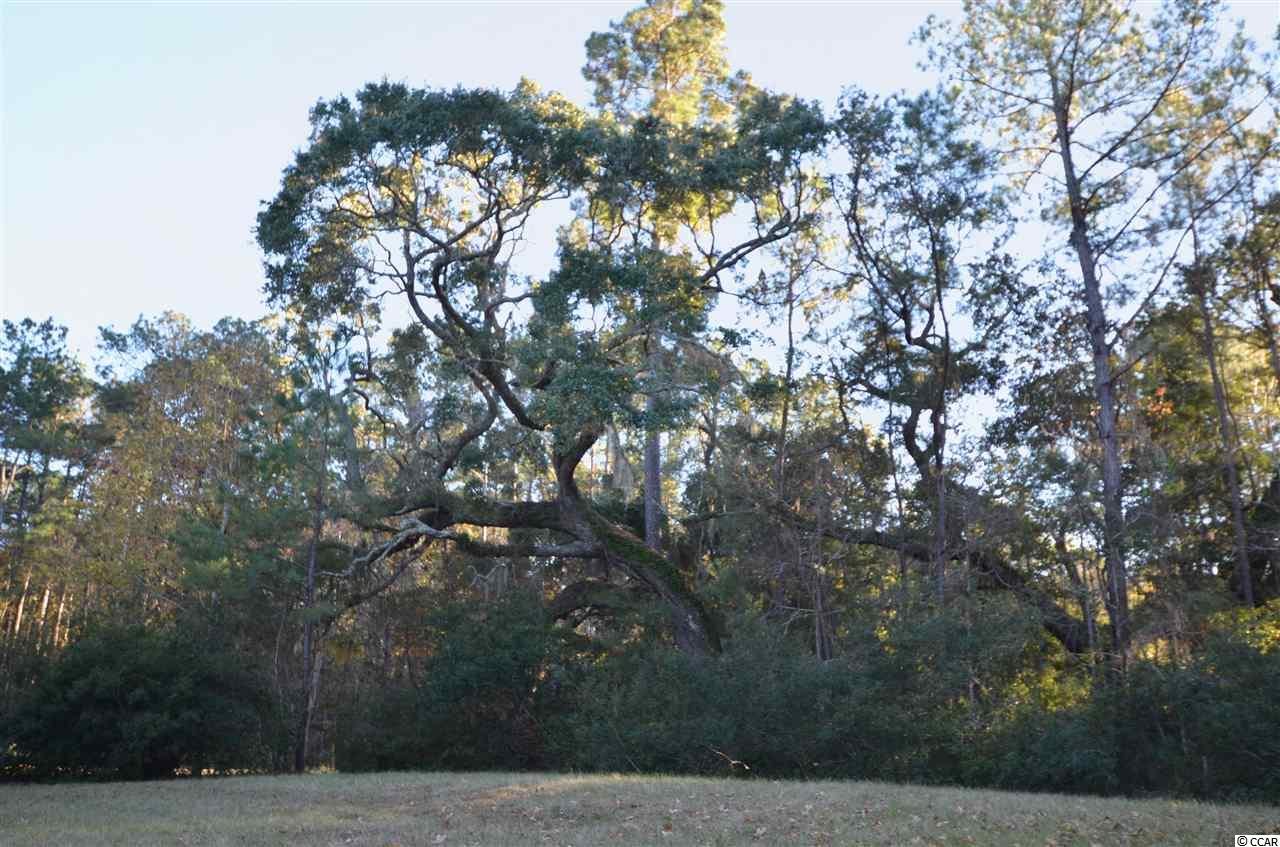 1310 Dupre Road McClellanville, SC 29458 - Photo 7 of 24 Gallery Image 7