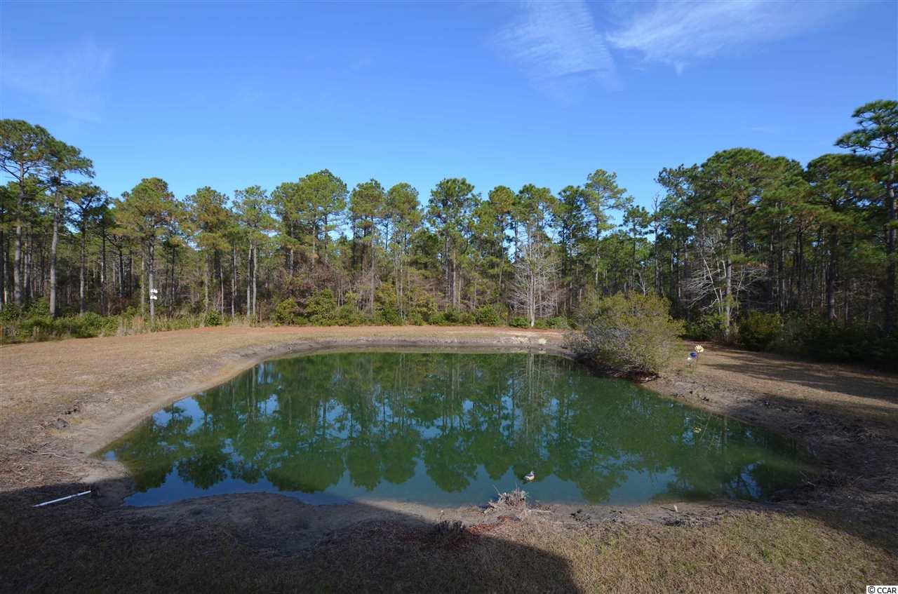 1310 Dupre Road McClellanville, SC 29458 - Photo 8 of 24 Gallery Image 8