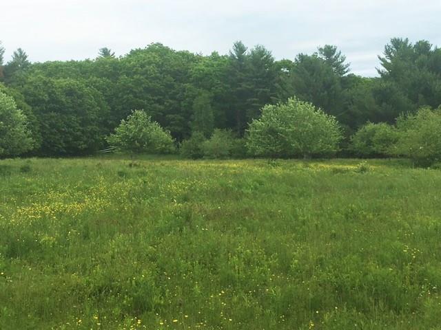 0 Hartshorn Road Morrill, ME 04952 - Photo 9 of 20 Photo