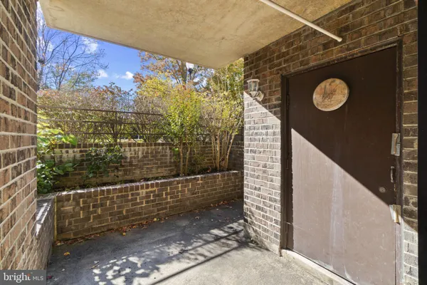 a view of a backyard with potted plants and large trees