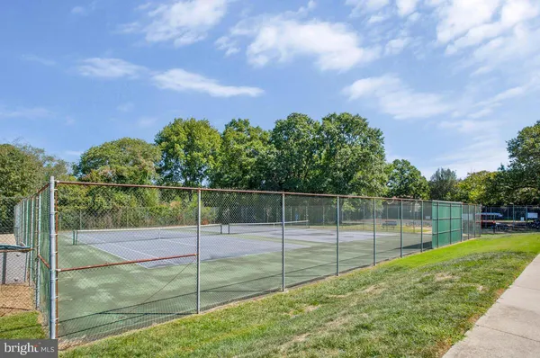 a view of a park with large trees
