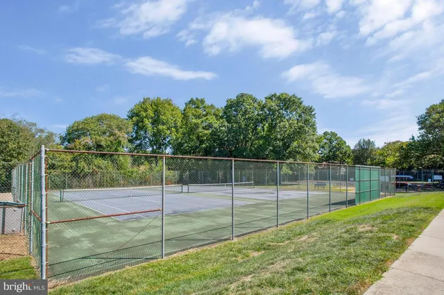 a view of a park with large trees