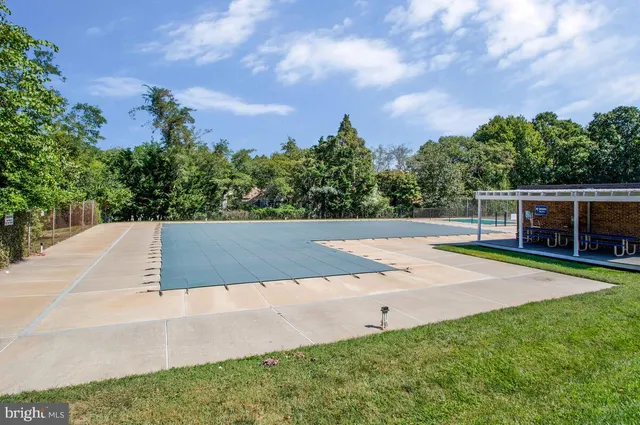 a view of a yard with plants and trees