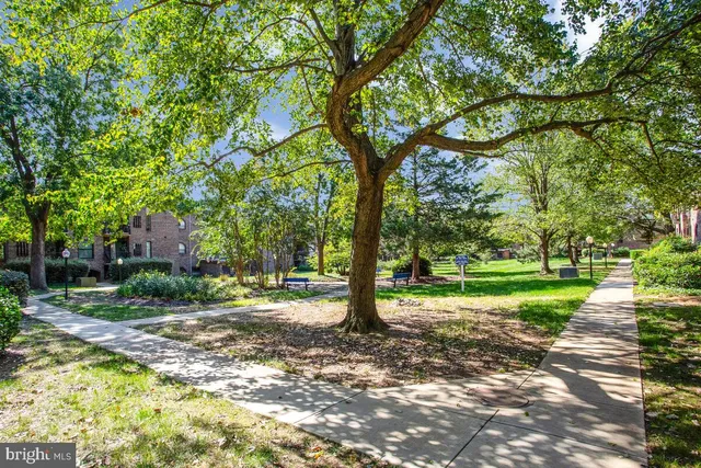 front view of a building with a yard