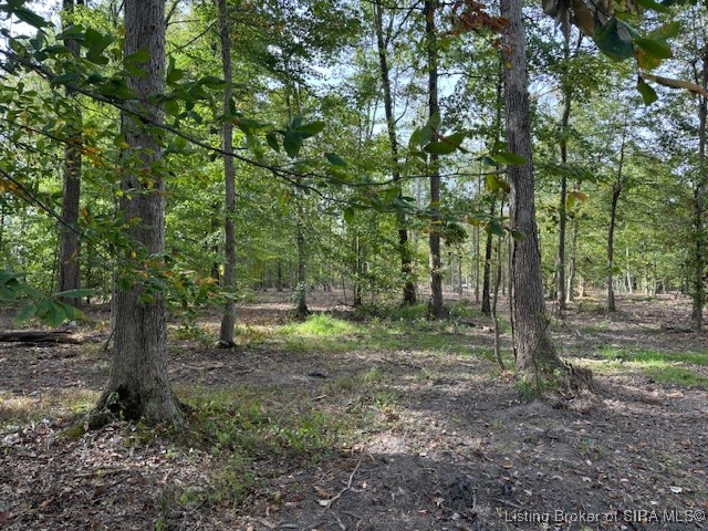 2637 West Borcherding Road Madison, IN 47250 - Photo 2 of 5