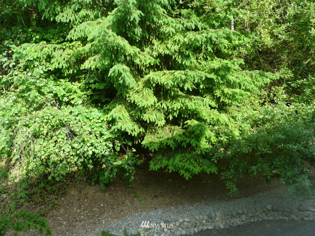 4632 Morris Avenue South Renton, WA 98055 - Photo 18 of 21 Gallery Image 18