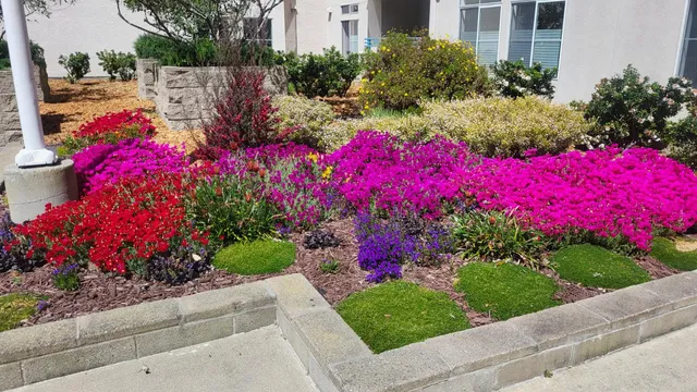 $620,000 | 535 Pierce Street, Unit 5109, Albany, CA 94706