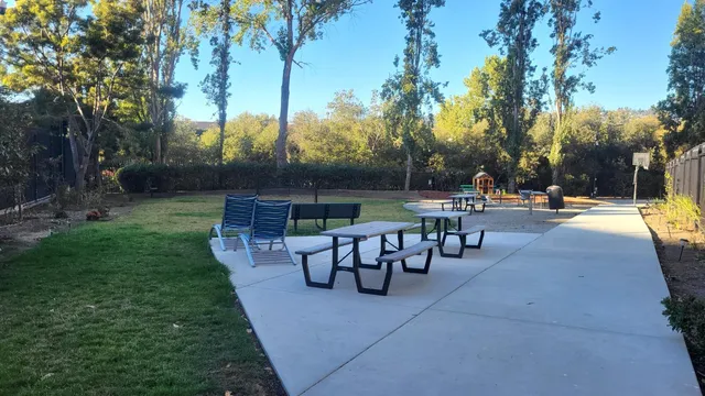 a view of a patio with table and chairs potted plants and large tree