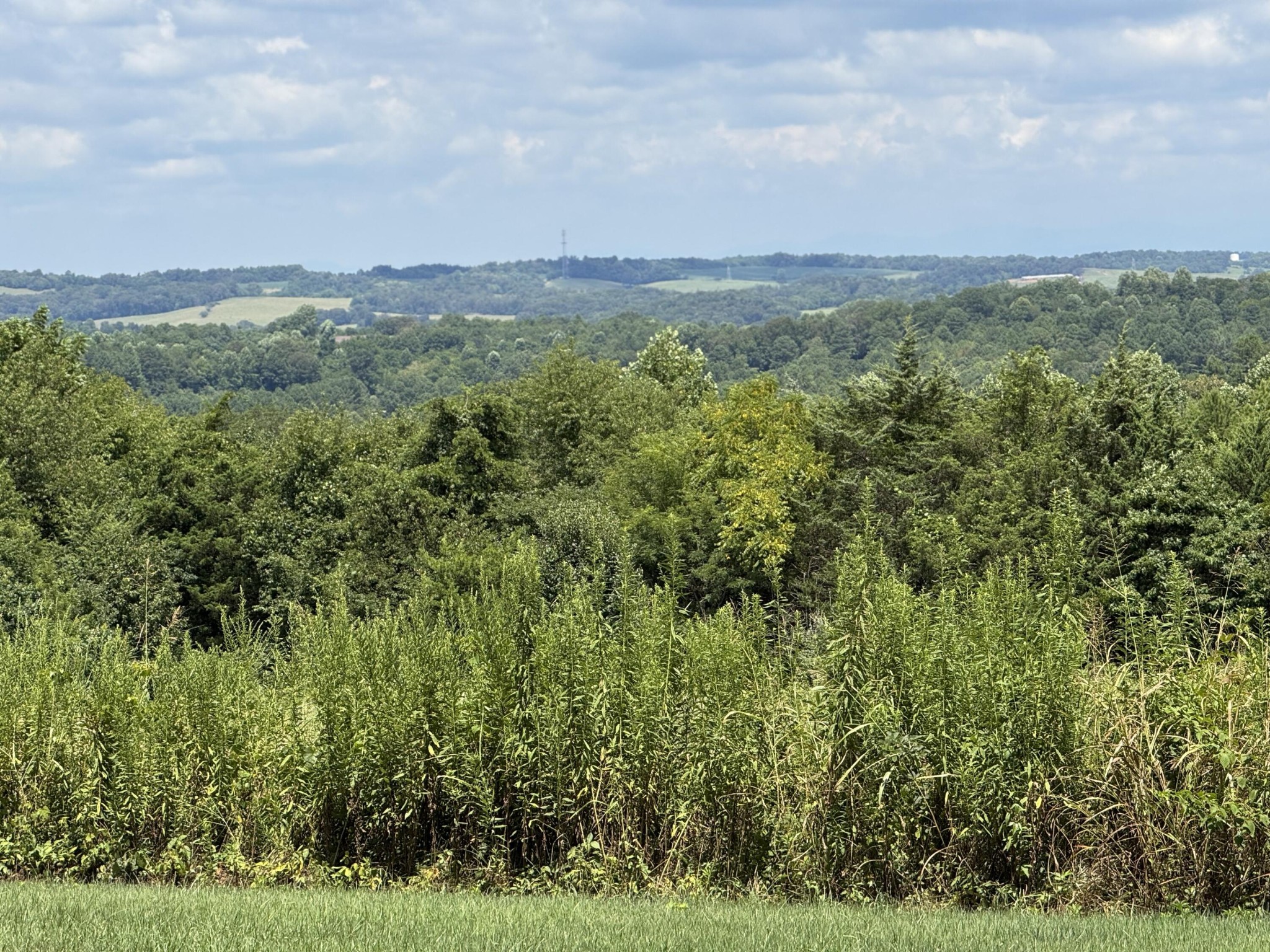 224 Red Pond Road Sweetwater, TN 37874 - Photo 38 of 42 Gallery Image 38