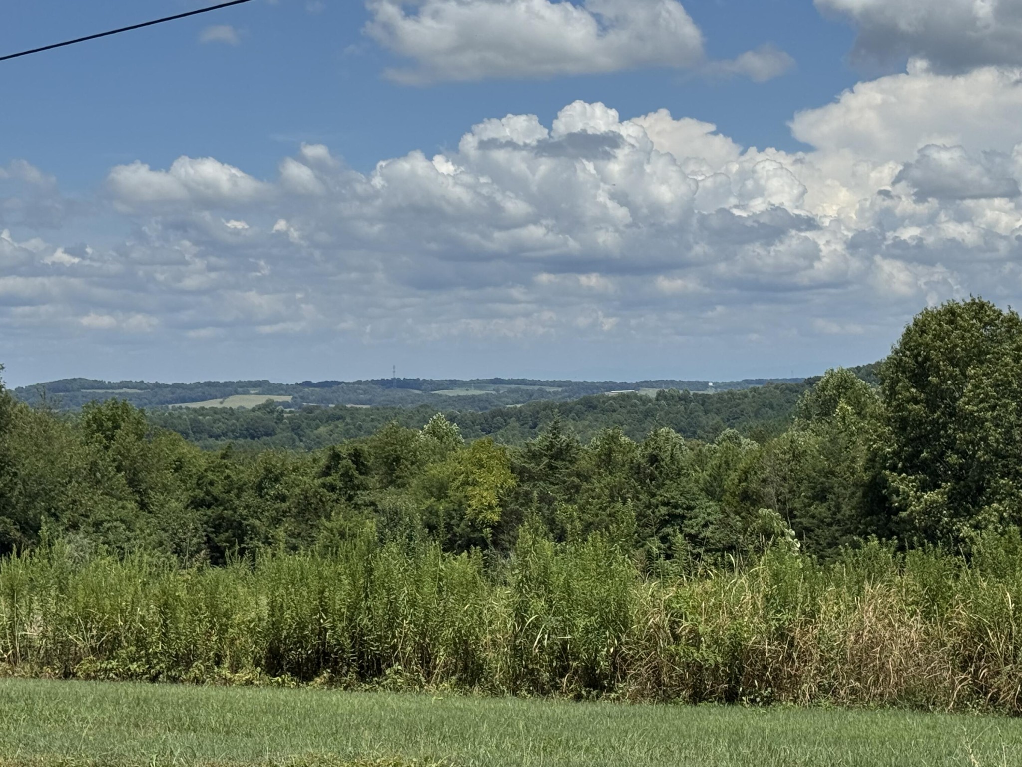 224 Red Pond Road Sweetwater, TN 37874 - Photo 39 of 42 Gallery Image 39