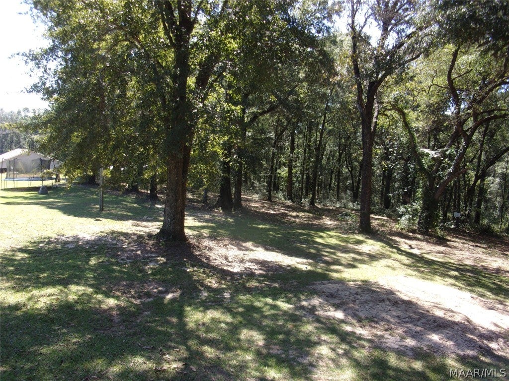 1457 Traveler's Rest Road Samson, AL 36477 - Photo 34 of 34 Gallery Image 34