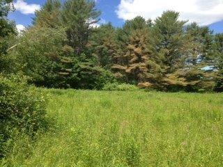 Lot 0 River Road Bowdoinham, ME 04008 - Photo 15 of 16 Photo