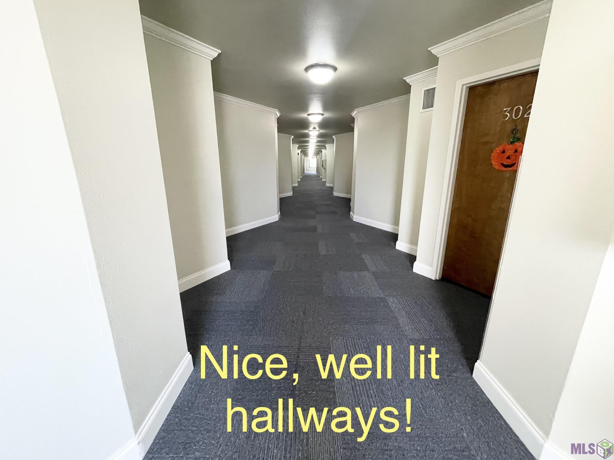 2045 North 3rd Street, Unit 309 Baton Rouge, LA 70802 - Photo 16 of 19