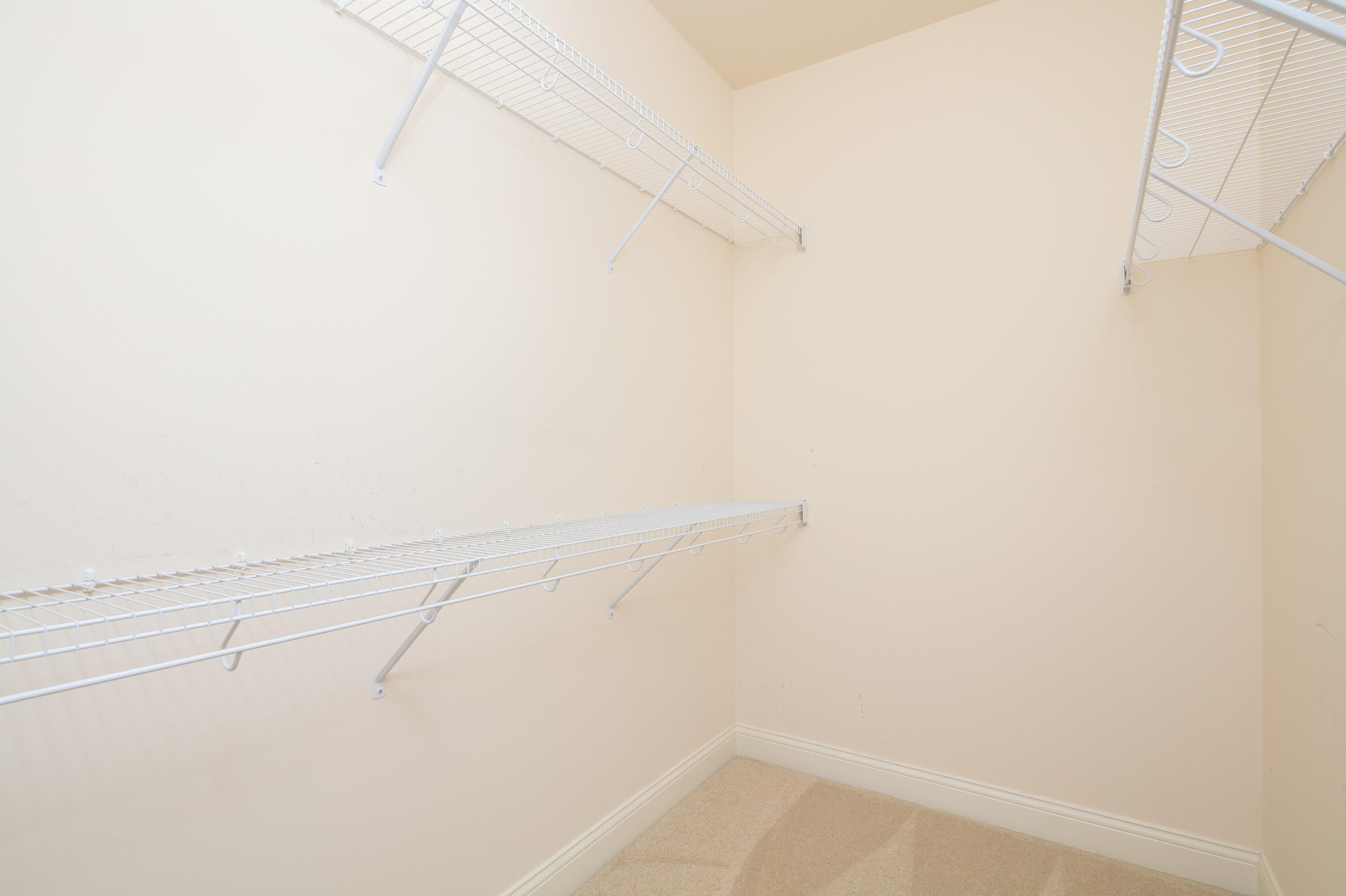 3536 Rabbits Foot Trail Lexington, KY 40503 - Photo 25 of 29 untitled(24of29)
