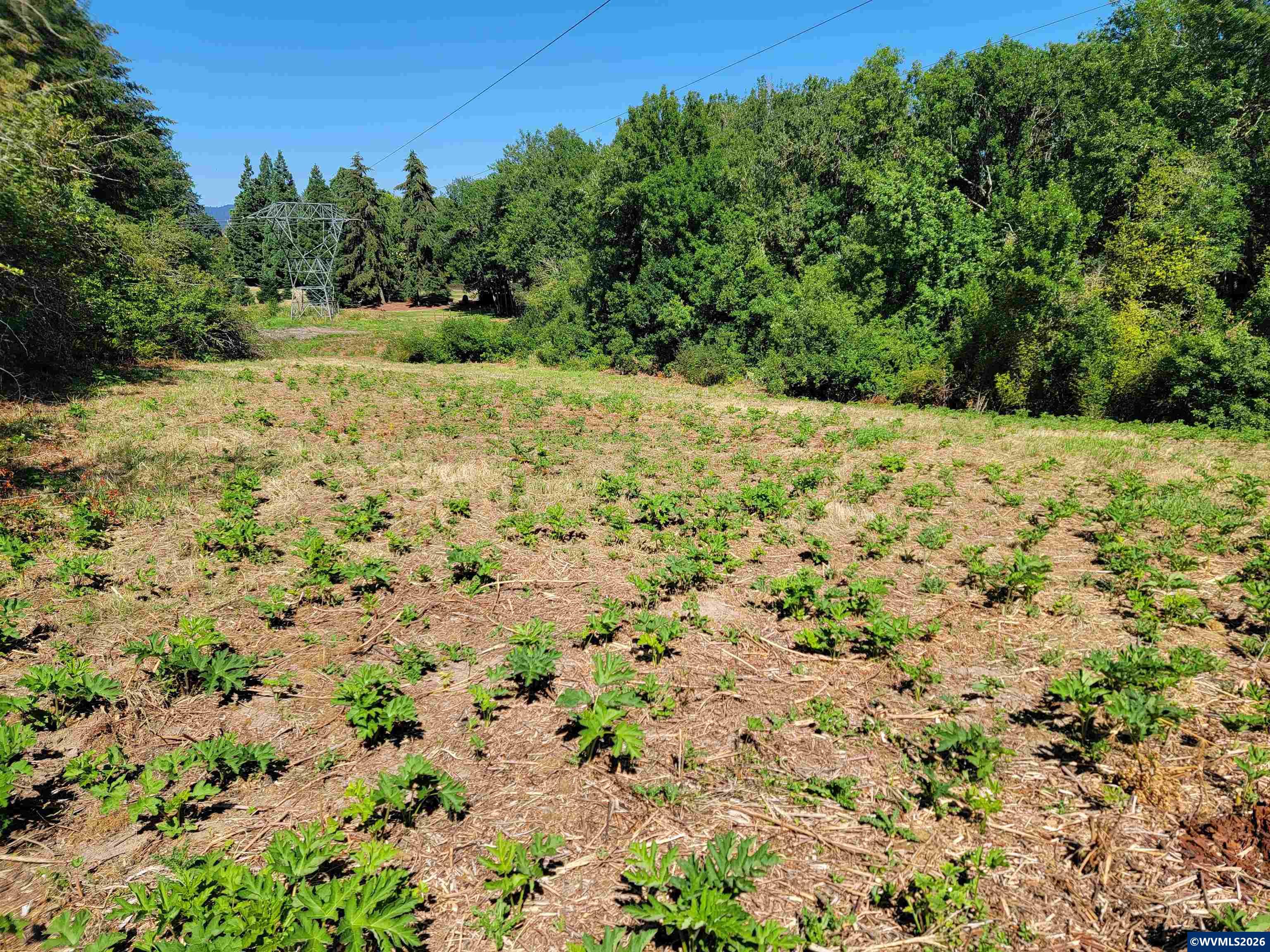 0 Oak Grove Albany, OR 97321 - Photo 23 of 30