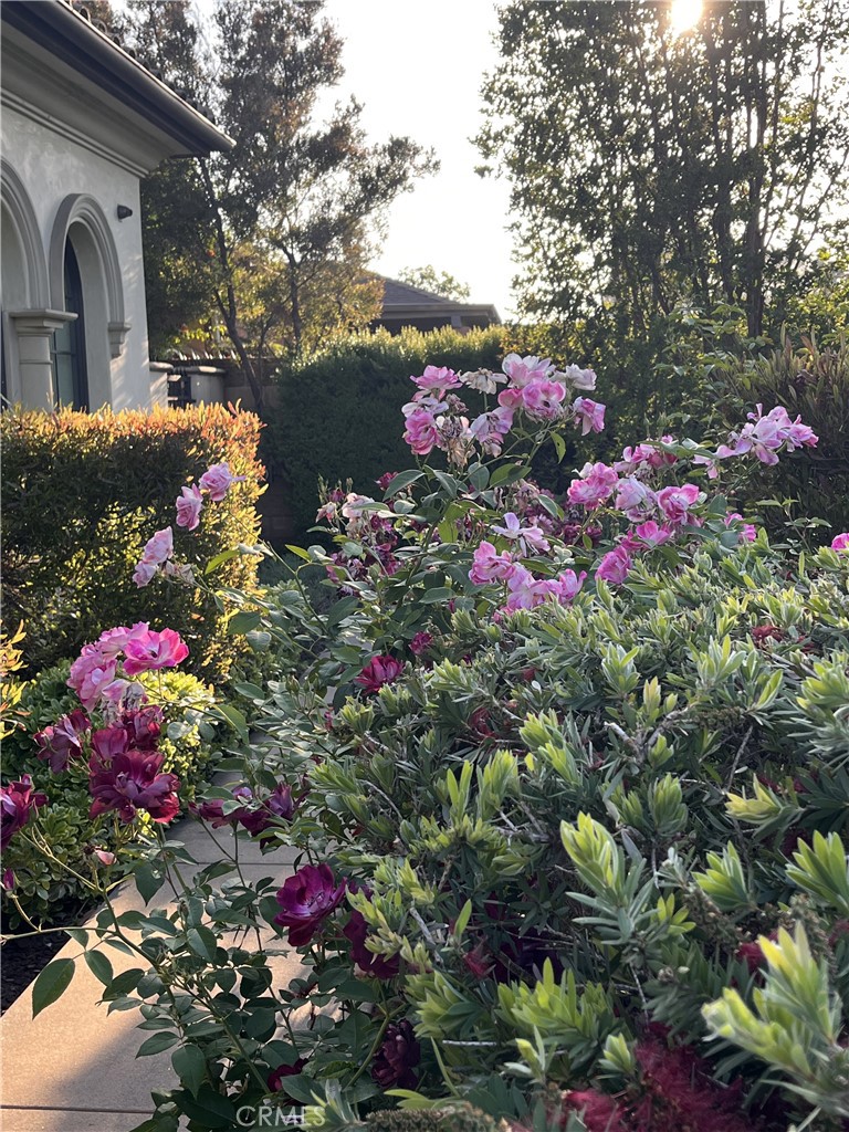200 West Pamela Road Arcadia, CA 91007 - Photo 82 of 82