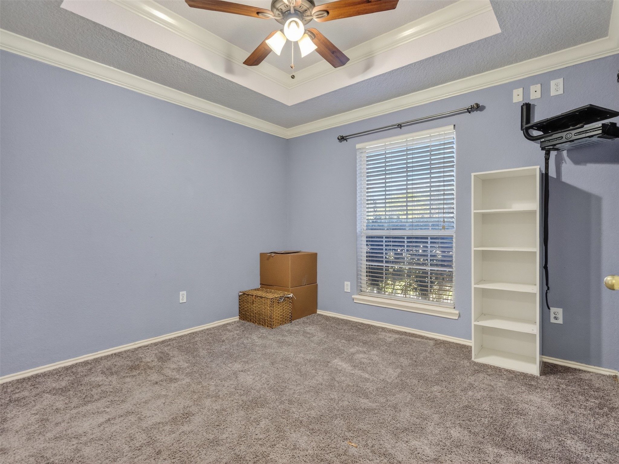 5036 Singletary Road Alvin, TX 77511 - Photo 21 of 35 Spacious secondary bedroom with tray ceilings, soft carpet, and natural light—ideal for guests or a home office.
