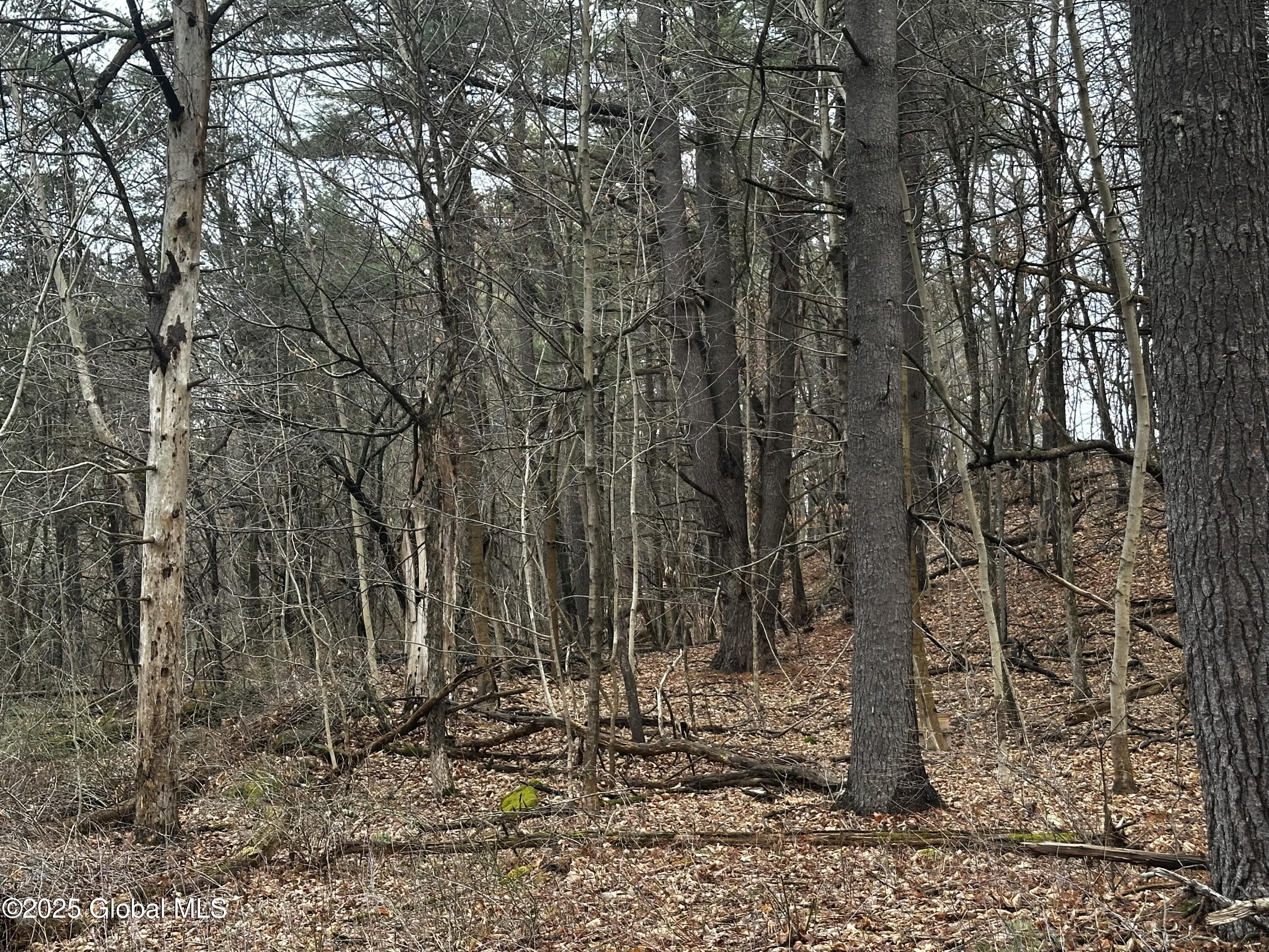 189 County Rte 26 Climax, NY 12042 - Photo 11 of 24 IMG_3105