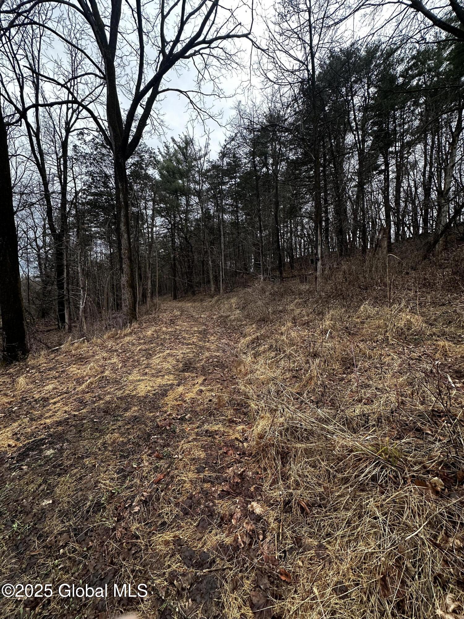 189 County Rte 26 Climax, NY 12042 - Photo 15 of 24 IMG_3111