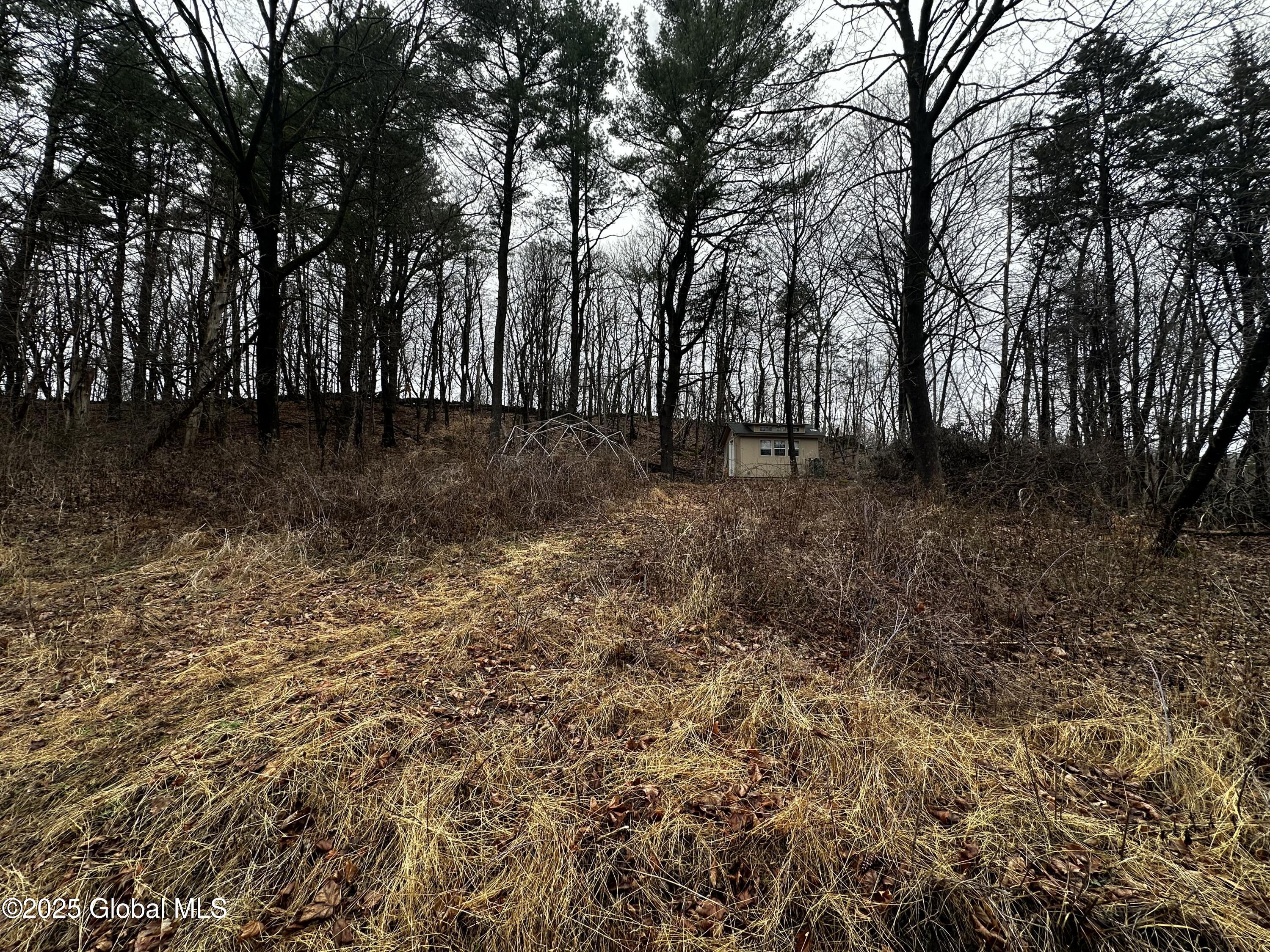 189 County Rte 26 Climax, NY 12042 - Photo 17 of 24 IMG_3114