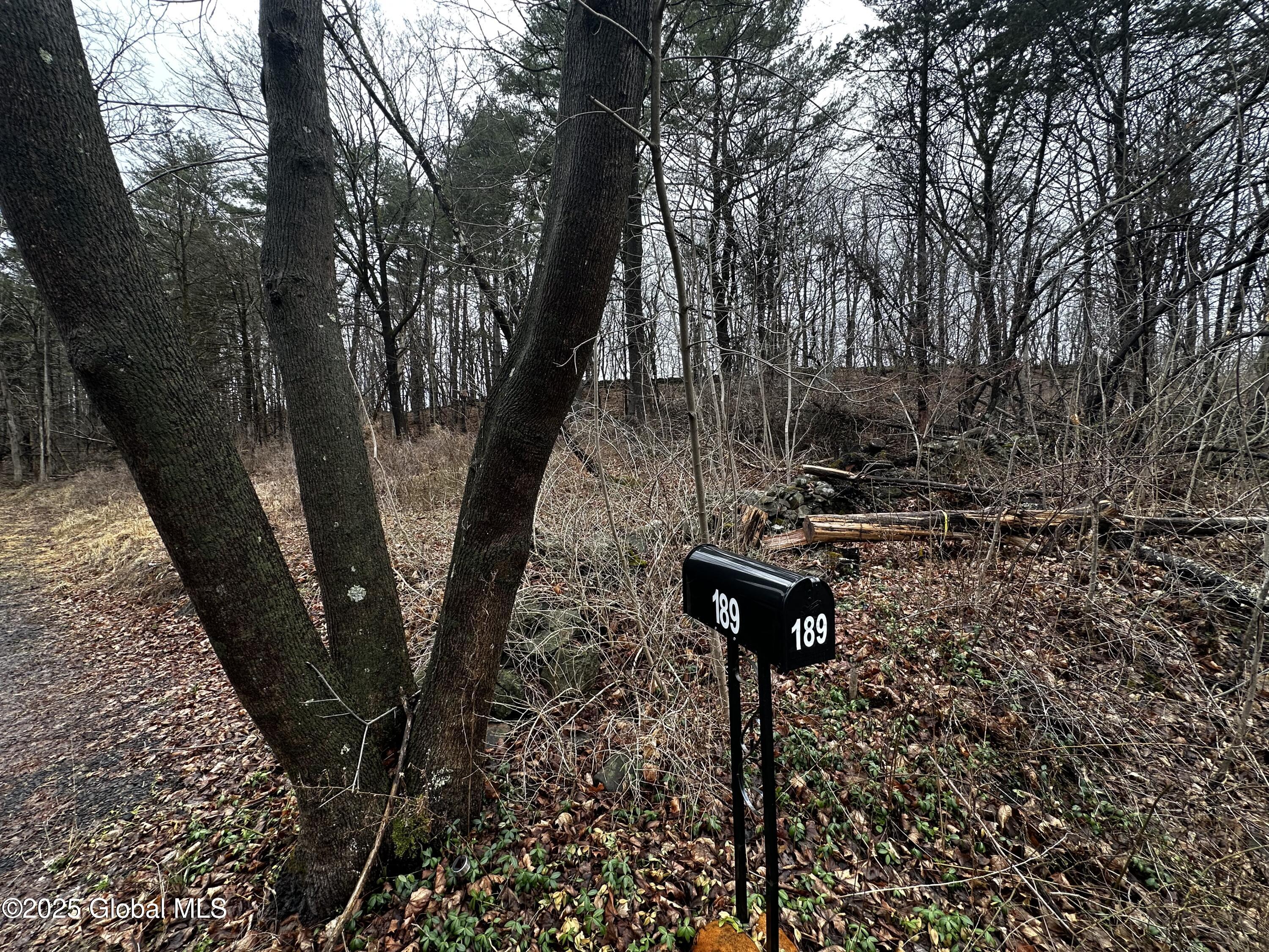 189 County Rte 26 Climax, NY 12042 - Photo 22 of 24 IMG_3116