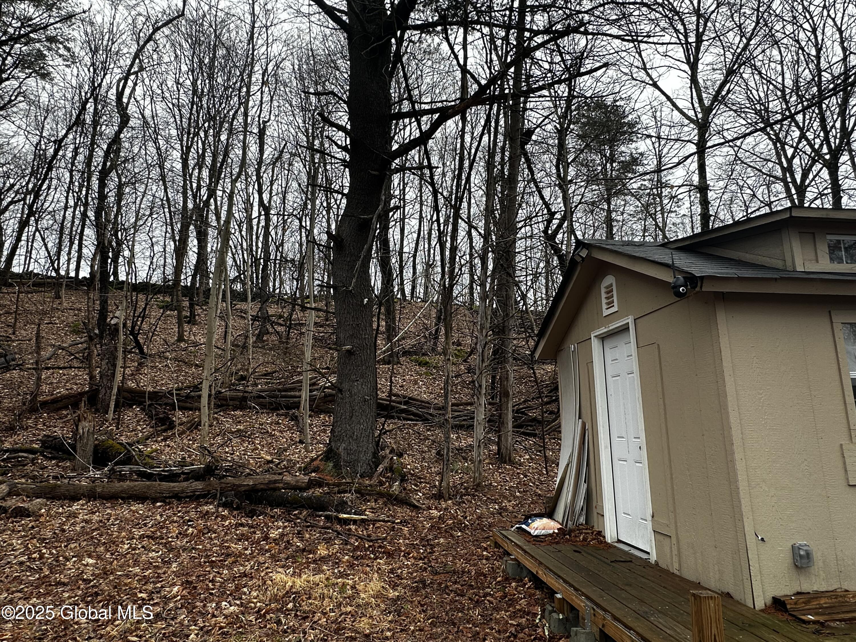 189 County Rte 26 Climax, NY 12042 - Photo 23 of 24 IMG_3110