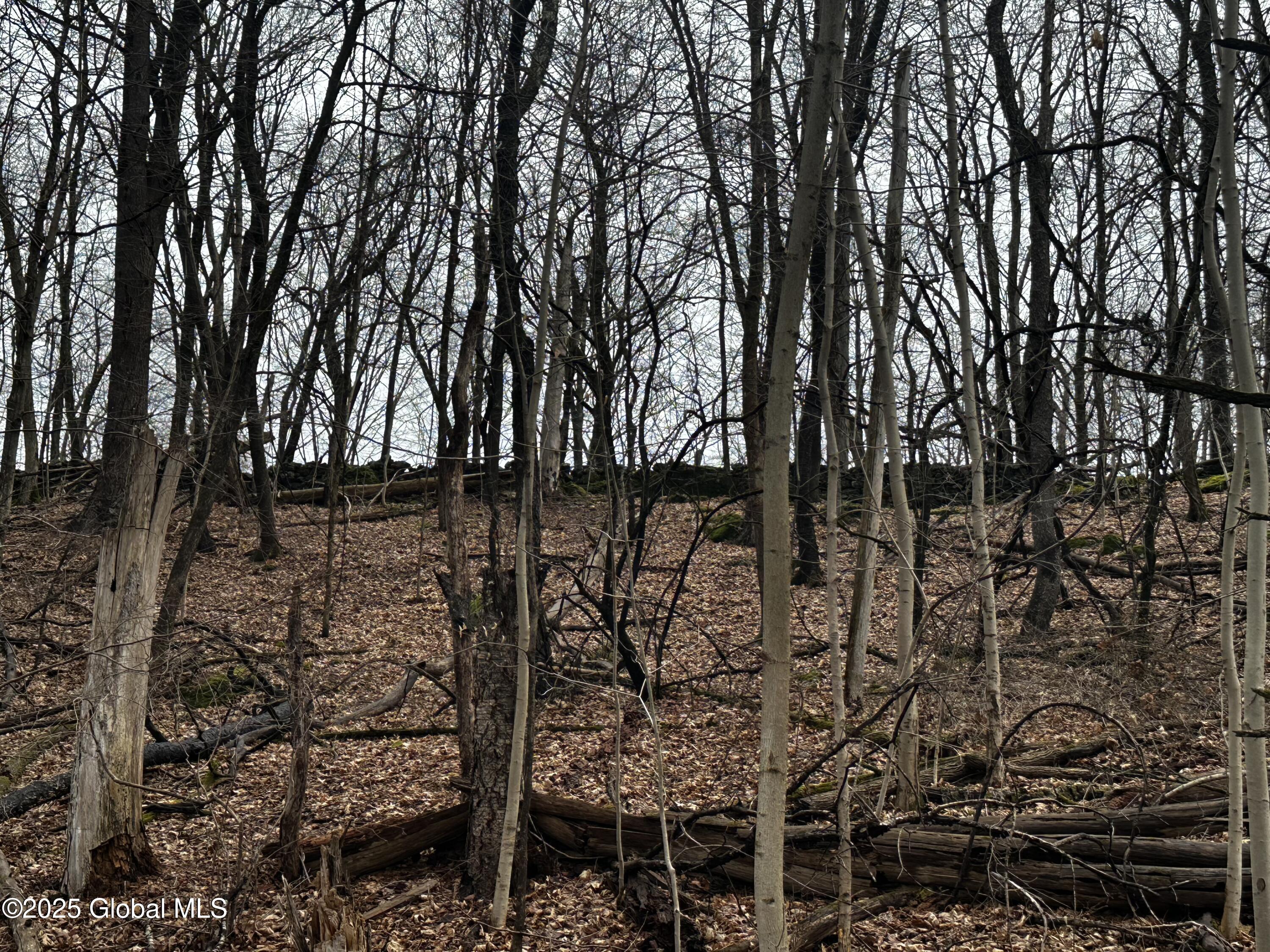 189 County Rte 26 Climax, NY 12042 - Photo 24 of 24 IMG_3104