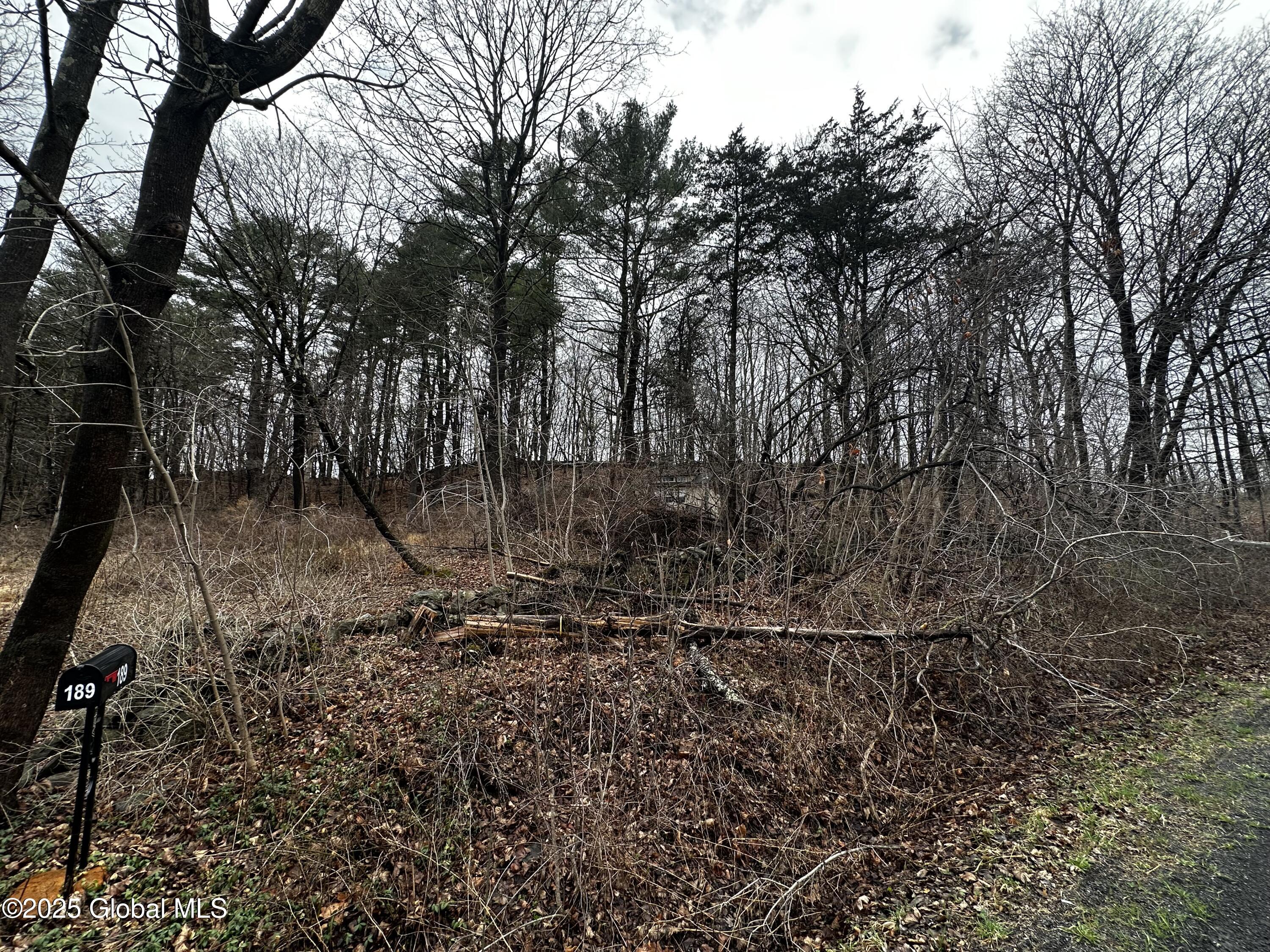 189 County Rte 26 Climax, NY 12042 - Photo 5 of 24 IMG_3117