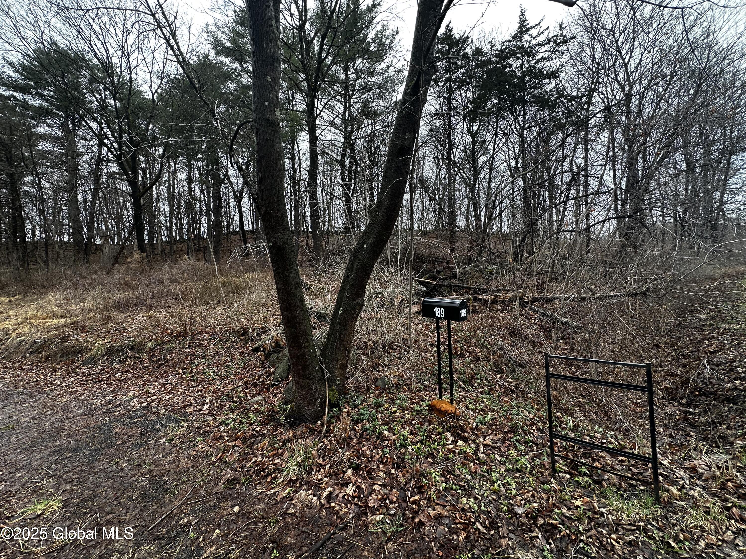 189 County Rte 26 Climax, NY 12042 - Photo 7 of 24 IMG_3115