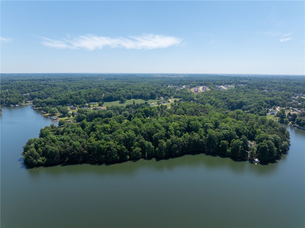 0 Ben Hurt Road Lyman, SC 29365 - Photo 3 of 21 Vast, verdant landscape encircles serene waterfront, offering panoramic natural beauty.