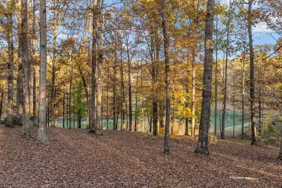 5617 A Pinewood Road Franklin, TN 37064 - Photo 2 of 67 a view of outdoor space with lots of trees