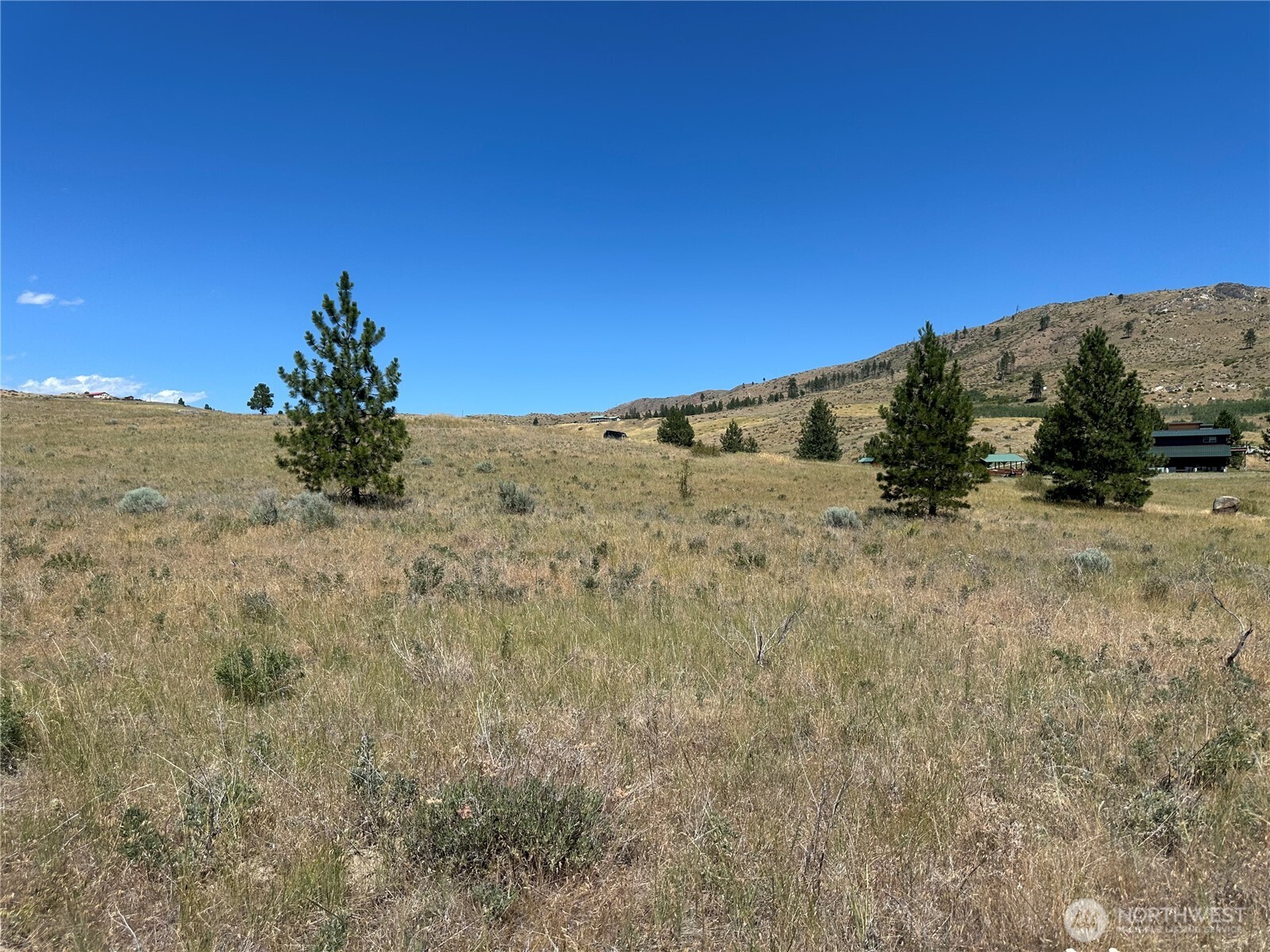 -tbd Peterson Rnch Road Pateros, WA 98846 - Photo 7 of 20 a view of a dry yard with mountains in the background