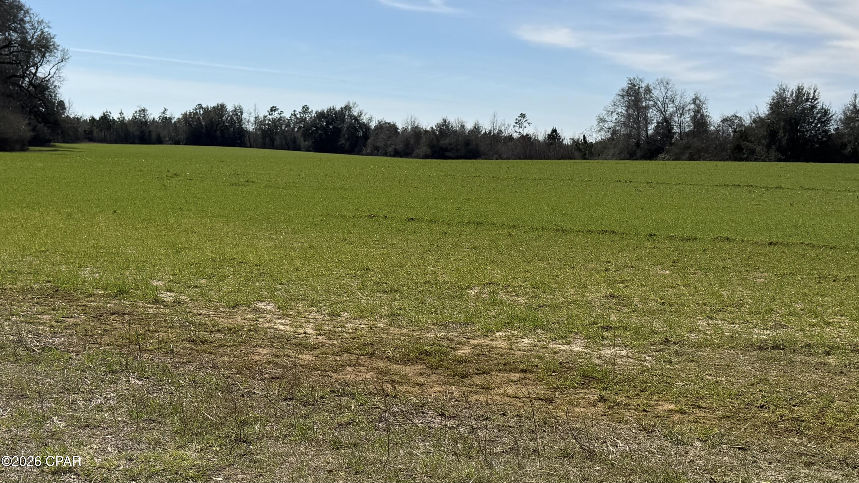 3790 Kynesville Road Marianna, FL 32448 - Photo 2 of 3