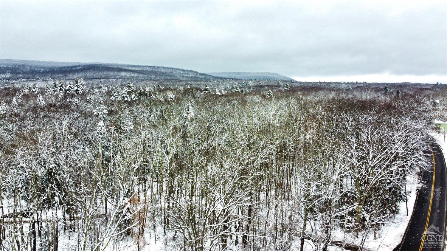 0 North Lake Road Haines Falls, NY 12436 - Photo 11 of 17 a view of a city