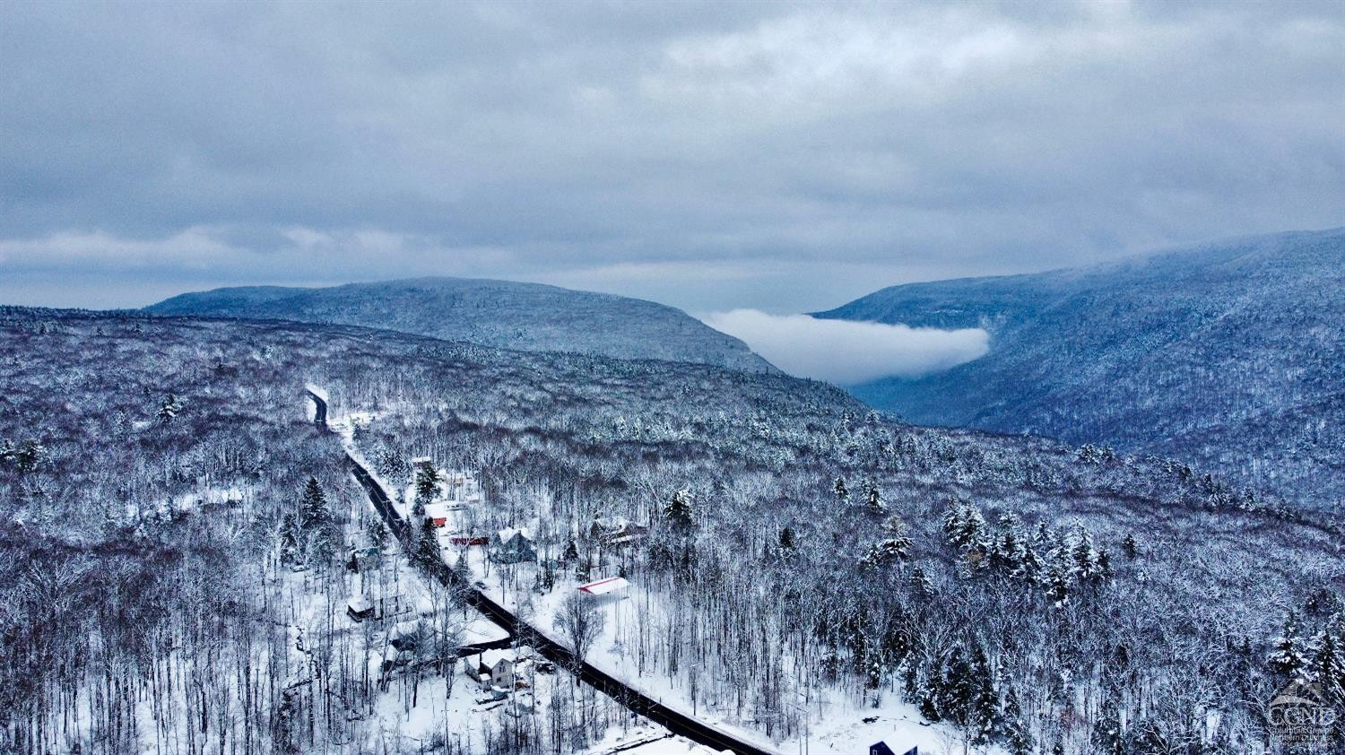 0 North Lake Road Haines Falls, NY 12436 - Photo 17 of 17 a view of a dry yard with wooden fence