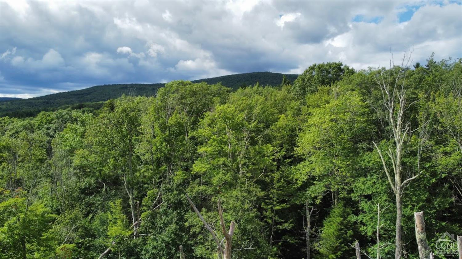 0 North Lake Road Haines Falls, NY 12436 - Photo 2 of 17 a view of a yard