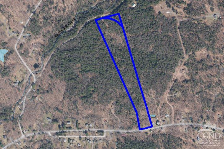 0 North Lake Road Haines Falls, NY 12436 - Photo 3 of 17 a view of a backyard with a slide