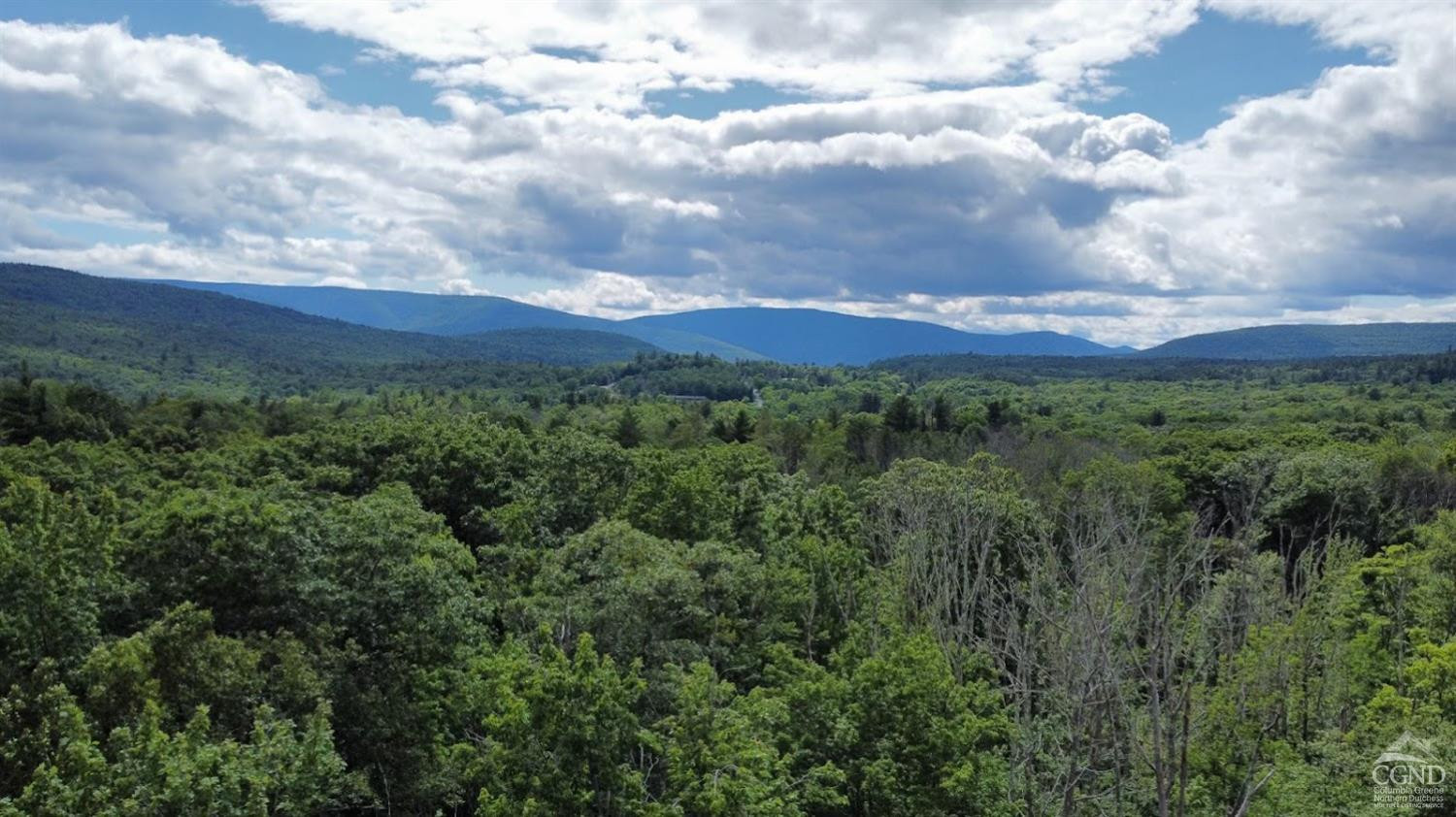 0 North Lake Road Haines Falls, NY 12436 - Photo 4 of 17 a view of a city and a lot of trees