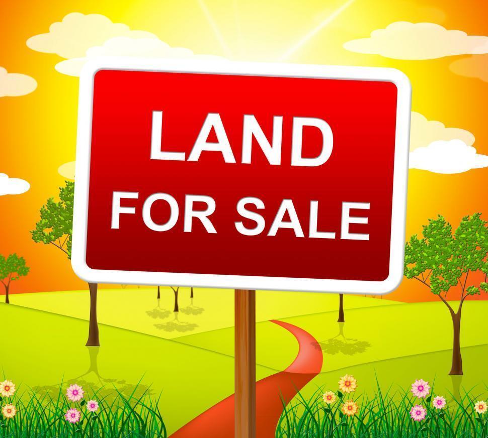 Land for sale flowers