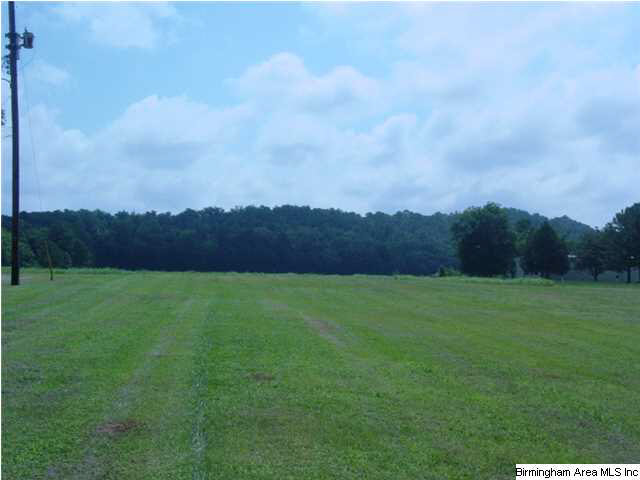 6301 Weaver Road Anniston, AL 36206 - Photo 4 of 27