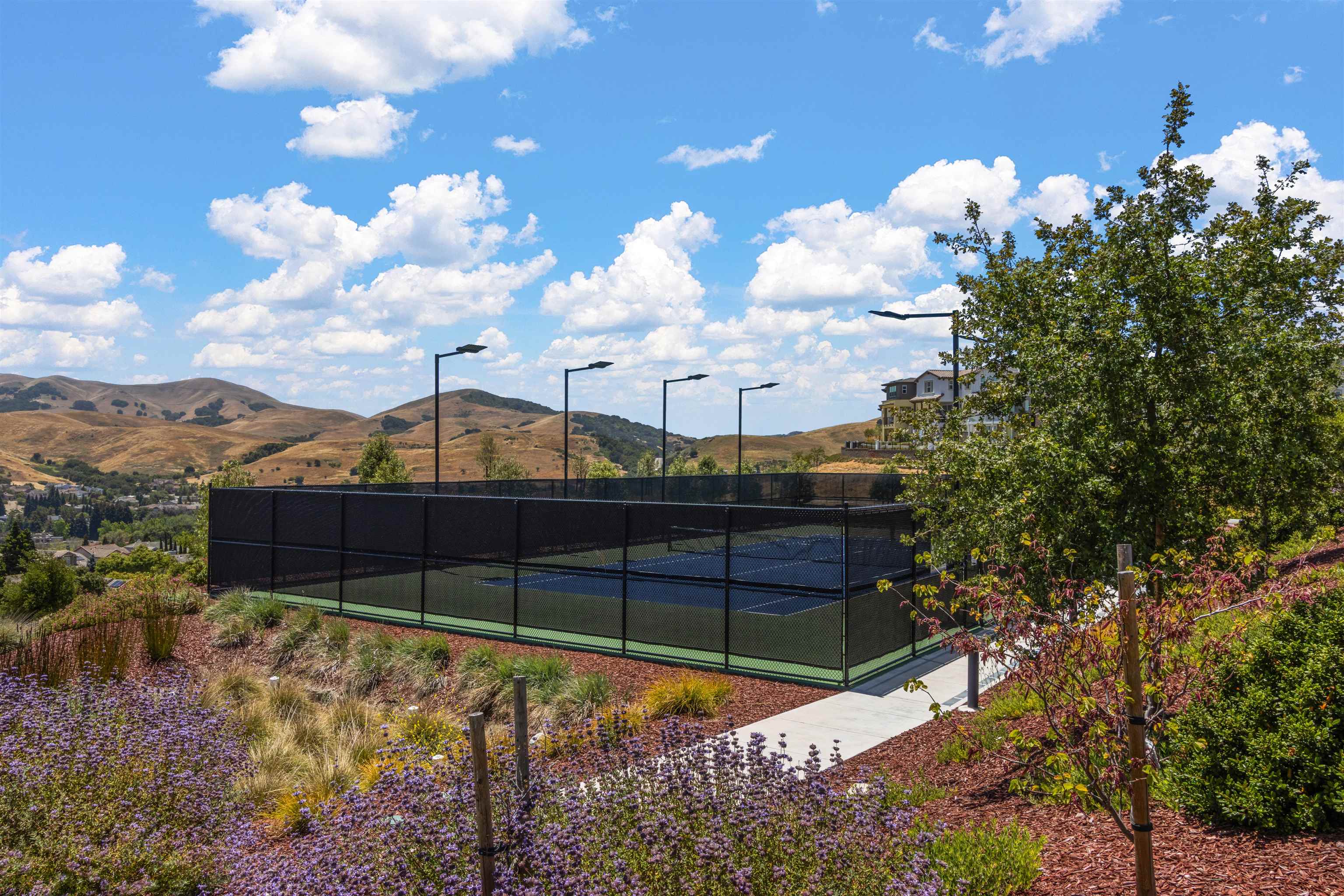 1311 Amalfi Court San Ramon, CA 94583 - Photo 59 of 59 a view of a backyard of the house