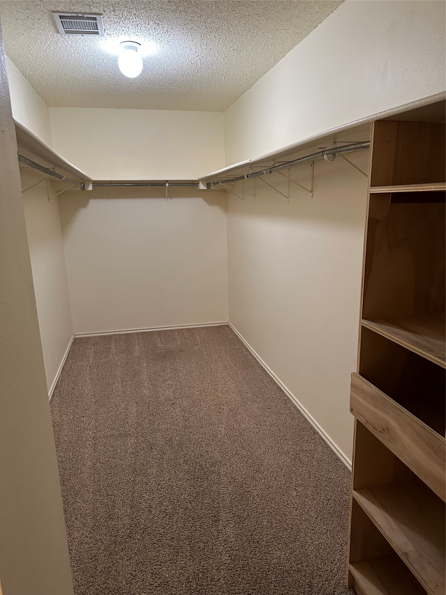 1101 Stillwell Ridge Cedar Park, TX 78613 - Photo 30 of 39 Primary bedroom walk-in closet